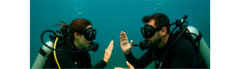 Escuela de Buceo